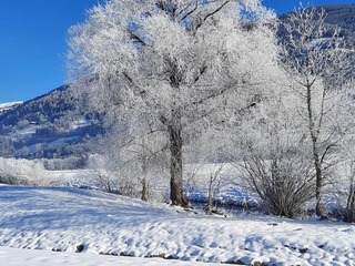 Apartment in Piesendorf, Austria