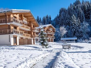 Apartment in Praz sur Arly, France