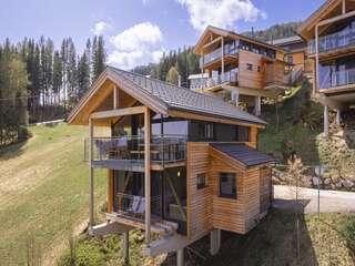 Chalet in Pichl an der Enns, Austria