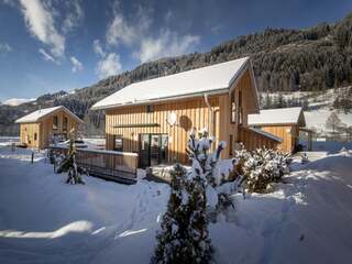 Chalet in Murau, Austria