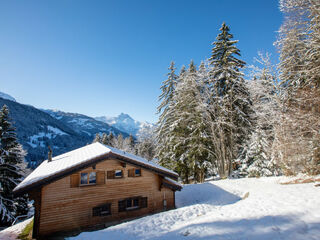 Chalet in Gryon / Barboleusaz, Switzerland