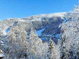 Apartment in Bad Gastein, Austria