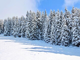 Apartment in Chamrousse, France