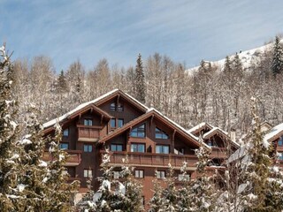 Apartment in Meribel, France