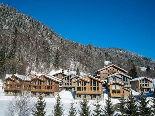 Apartment in Praz sur Arly, France